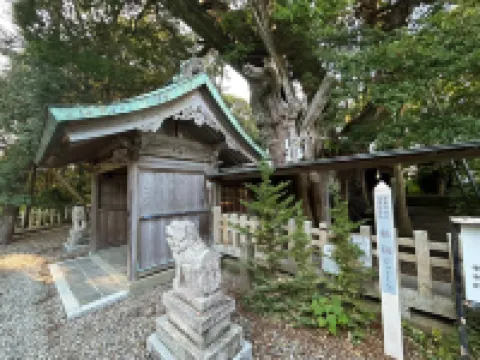 Guest House & Sauna Mori Hotels in Kushimoto