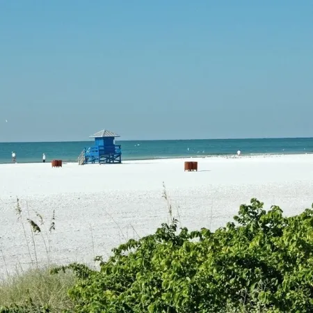 Siesta Key Palms Resort