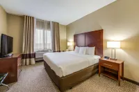 Comfort Suites Chicago O'Hare Airport