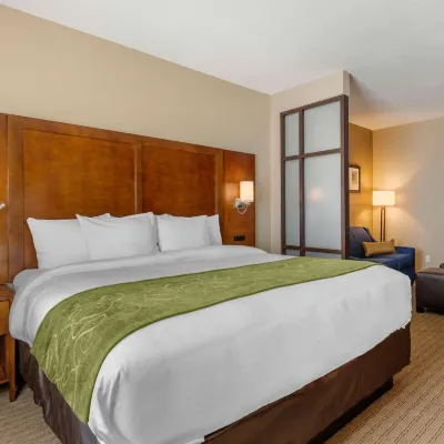 Comfort Suites San Antonio Airport North Hotels near Phil Hardberger Park
