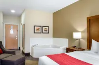 Comfort Inn & Suites Covington - Mandeville Hotels in Covington