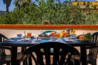 Residence Oasi Anfiteatro - 3-Star
