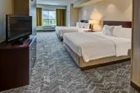 SpringHill Suites New Bern Hotels in New Bern