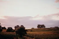 Wine Lovers Retreat Amidst Shenandoah Valley with Pool