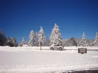 1 MI Dollywood Pet Friendly ! ,FREE WIFI,Hot Tub,YR RD Pool,Arcade 400 Games