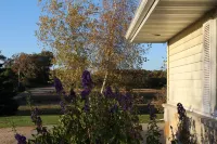 Countryside Beauty - Min to Madison/Perfect for families/Events&Dogs! Lrg yard