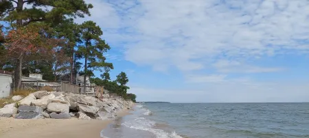 Private Beach Front Getaway at The Sunshine Beach Cottage.