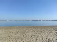 Appt T2 Port-camargue