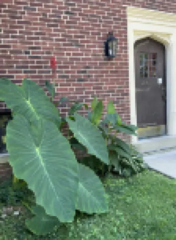 2 bedroom apartment - Mt Penn