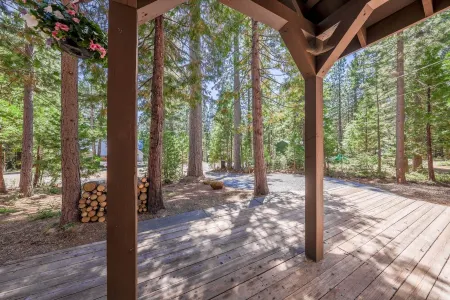 The Wildwood Cabin - Tahoe National Forest