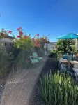 Lakeside 1 Bedroom Apt w/ living room, kitchenette and laundry - WiFi