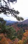 Holly's Hideaway, Cabin in the Woods