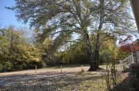 Central Retreat D, NEW, Close to Everything! 윌슨 카운티 호텔