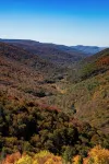 Moose Knob Cabin - Maysville