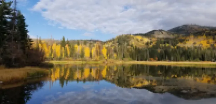 The Cozy Cabin....Walk to Brighton ski slopes!