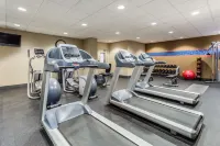 Hampton Inn & Suites Chicago-Libertyville - Træningscentre