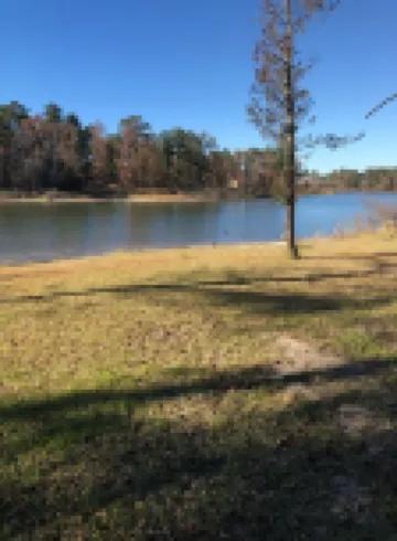 Reel Retreat at Sam Rayburn waterfront access