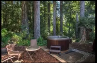 Private & Spacious  *Hot Tub* In the Redwoods