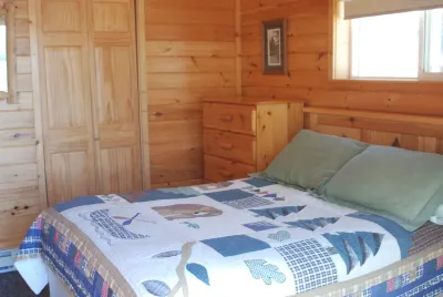 3 BR Cabin Surrounded by Pines on Fishing/Swimming Lake