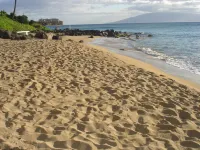 Aloha Hale Ocean View Maui Condo In Ocean Front/Beach Resort Swim with Turtles!