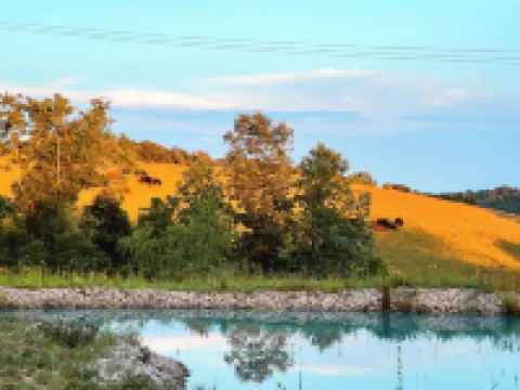 Unique Gem Hobbit Inspired Cabin Hot Tub Sauna Pet Friendly Best Nights Sleep