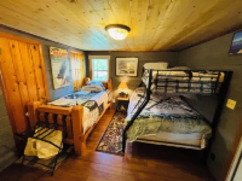 Lake front cabin on the Eagle River chain. Pet friendly. Pontoon for rent.