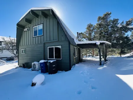 Big Bear Mountain View Cabin