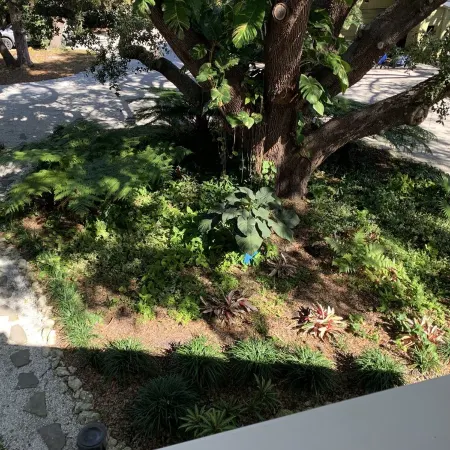 Island Oak Apartment