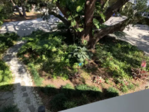 Island Oak Apartment