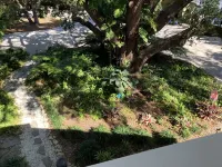 Island Oak Apartment