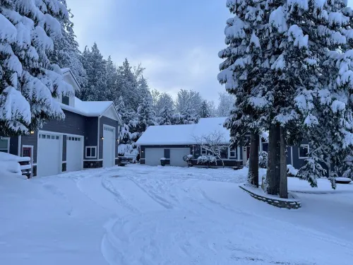 Ride galbraith mountain from your door! Cozy Bellingham apartment in the woods.
