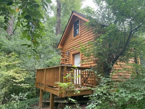 Tiny House / Log Cabin in beautiful wooded urban setting
