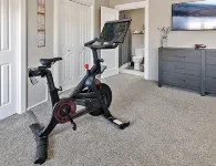 U2 - Peloton Bike - 2 Kings - Work Here - 1G Wi-Fi - Stunning Aviation Theme!