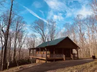 Homey Cozy Dog Friendly Cabin Surrounded by Beautiful Mountain Trees w/Hot Tub+
