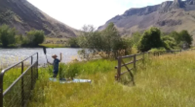 On Salmon River, quiet, private, house, where you can still see the milky way,