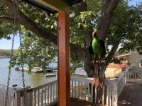 Large Lakefront Family Retreat on Quiet and Lively Cove