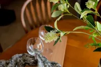 Relax in the country next door to AP Ranch and Wedding Venue! Hotels near Walter Walker State Wildlife Area