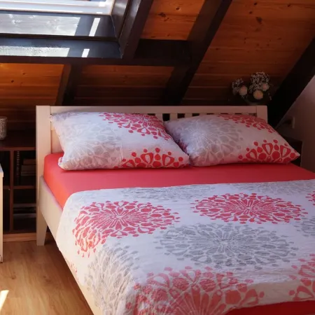 Cozy middle row house near the dike and harbor, children + dogs welcome