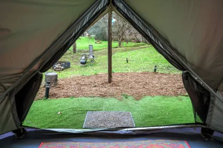 Boho Off-Grid Glamping at Honeysuckle Springs Отели в г. Косби