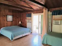 "Oasis" 4 Everything Los Angeles/OC Disneyland...