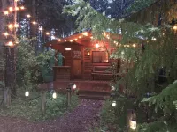 Fancy Fireflies - Charming studio cabin amidst the trees right on Lake Hayward!