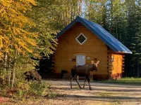 Moose Tracks Cabin in North Pole, Alaska