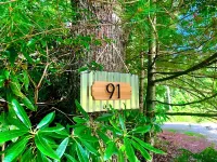 A-frame Blue Ridge Parkway Cabin - Pet Friendly