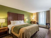 Comfort Inn & Suites Panama City North Hotels in Bay County