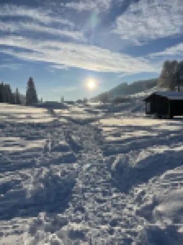 Les Dappes 5-Person Chalet Apartment Rated  les Rousses