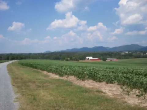 Rustic Riverfront Getaway Directly On The River!!  You can't get any closer!