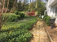 Super Clean luxury flat near the James River in park-like setting. Hotels near University of Richmond