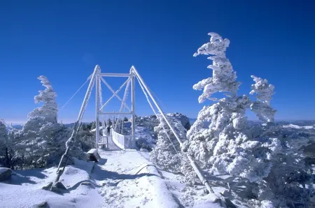 36 Private Acres on the New River w/Hot Tub