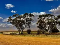 Katz Retreat, interactive farm stay Hotels in Orroroo