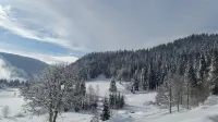 quiet apartment at the col des feignes, panoramic view of the station honneck Hotels in La Bresse